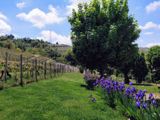 Casale in vendita