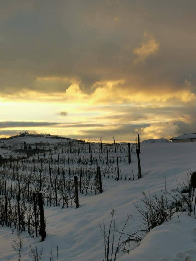 Casale in Vendita a Santo Stefano Belbo