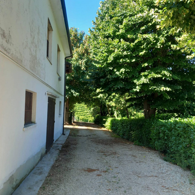 Casale in Vendita a Santo Stefano Belbo