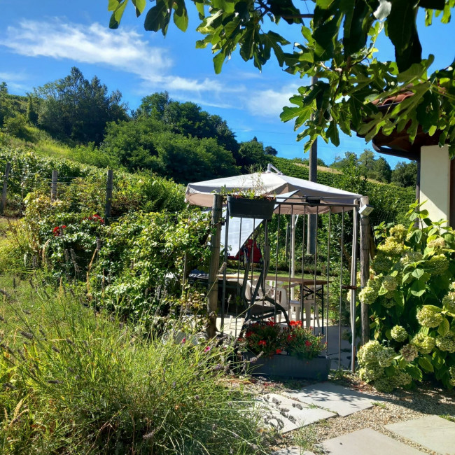 Casale in Vendita a Santo Stefano Belbo