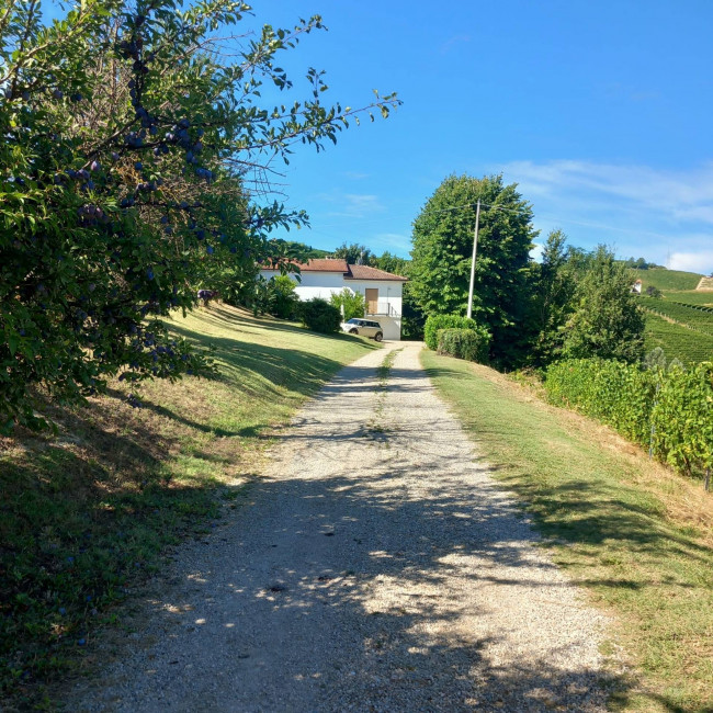 Casale in Vendita a Santo Stefano Belbo