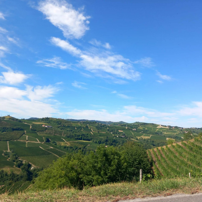 Casale in Vendita a Santo Stefano Belbo