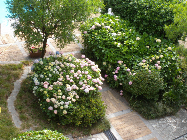 Villa in Vendita a Moncalieri