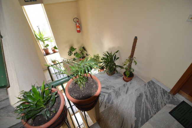 Appartamento in Vendita a Borgaro Torinese