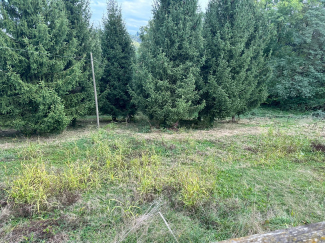 Casa indipendente in vendita a Mondovì