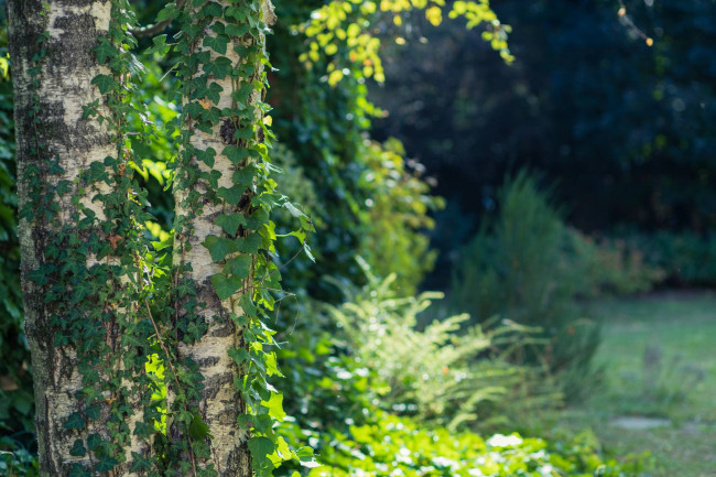 Dimora Storica in Vendita a Cuneo