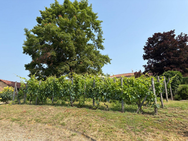 Villa Storica in Vendita a Portacomaro