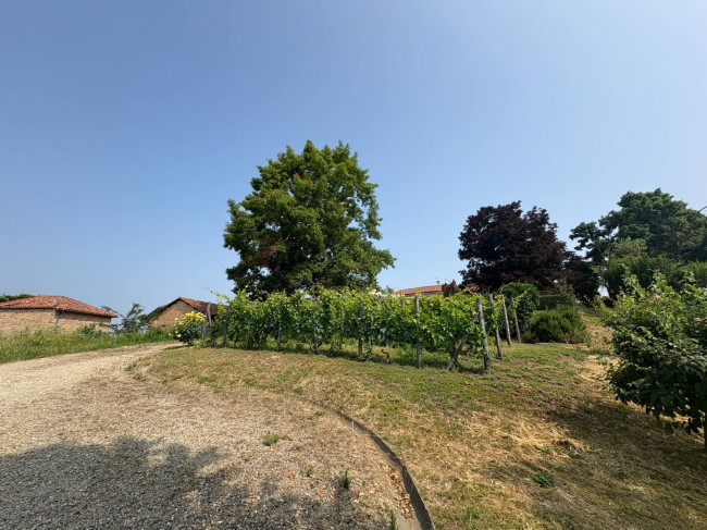 Villa Storica in Vendita a Portacomaro