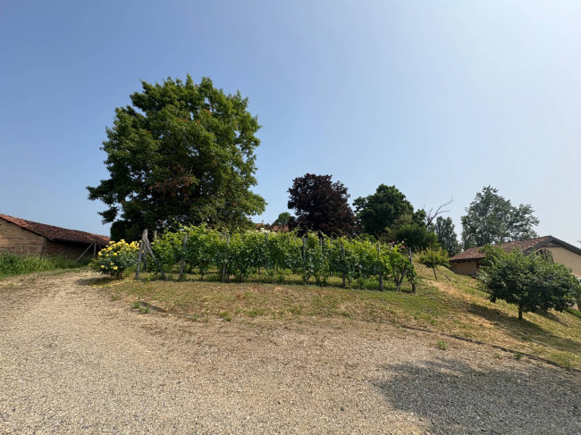 Villa Storica in Vendita a Portacomaro