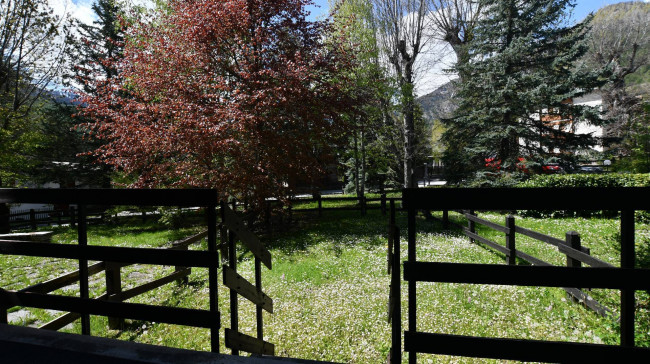 Appartamento in Locazione a Bardonecchia