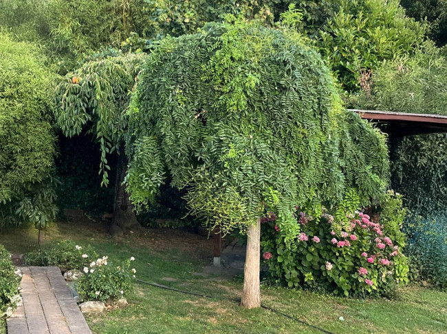 Villa Bifamiliare in Vendita a Pecetto Torinese