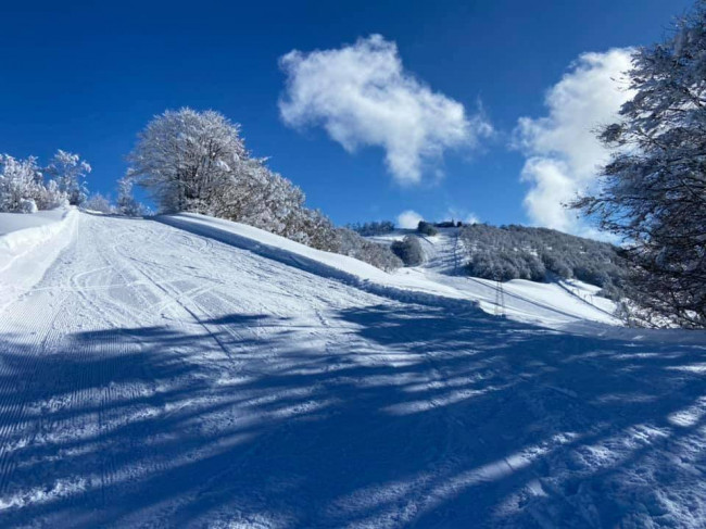 Appartamento in Vendita a Montaldo di Mondovì