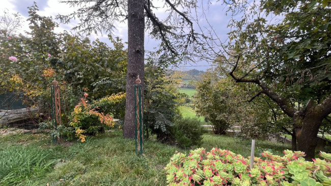 Cascina in Vendita a Robella