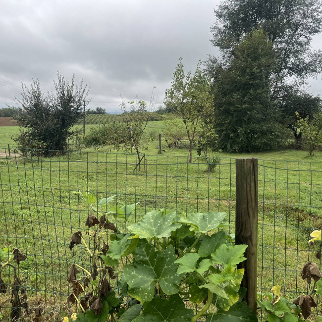 Villa in Vendita a Arignano