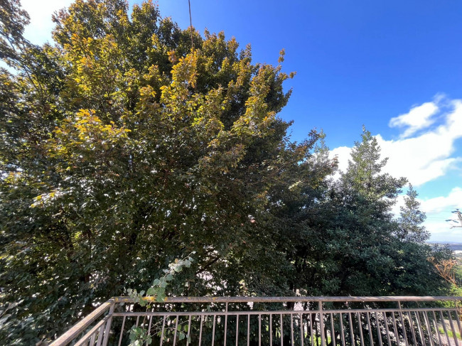 Cascina in Vendita a Maranzana