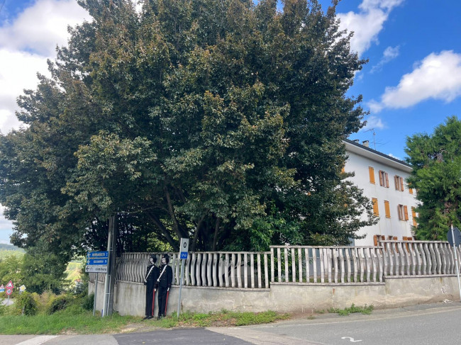 Cascina in Vendita a Maranzana