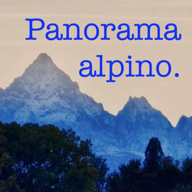 Capannone in Affitto a Caselle Torinese