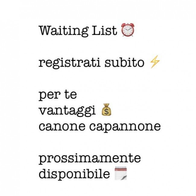 Capannone in Affitto a Caselle Torinese