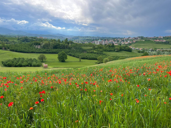 Magazzino in Vendita a Roburent
