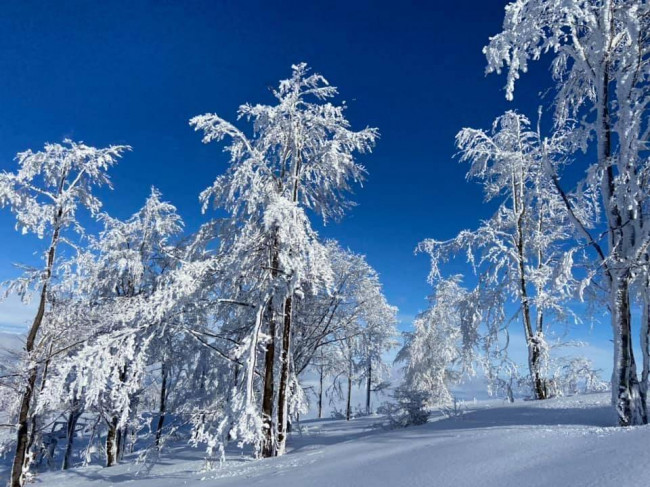 Magazzino in Vendita a Roburent