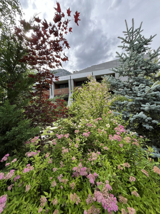 Appartamento in Vendita a Bardonecchia