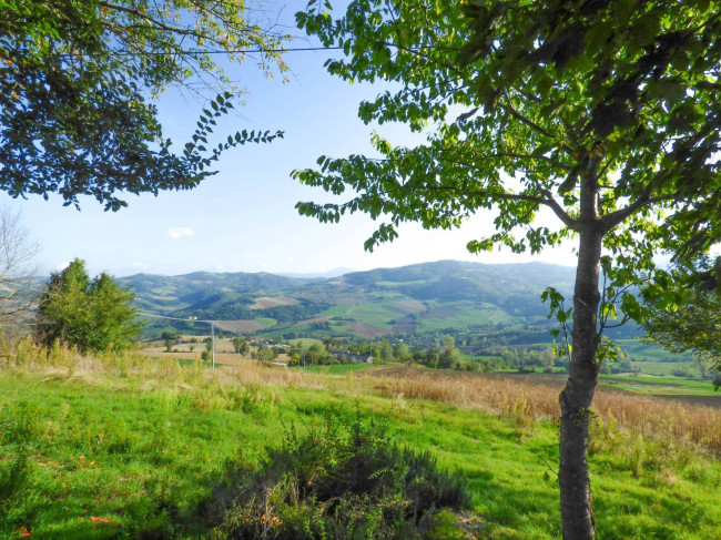 Rustico in Vendita a Piozzano