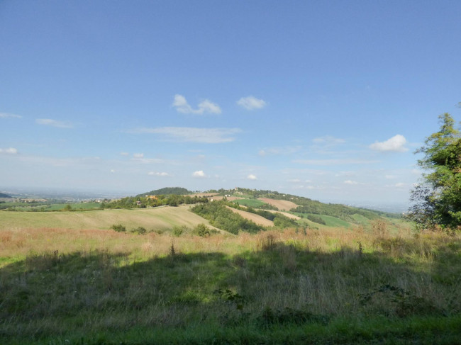 Rustico in Vendita a Piozzano