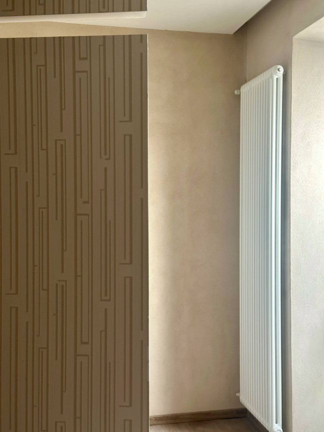 Negozio in Affitto a Castelletto Stura