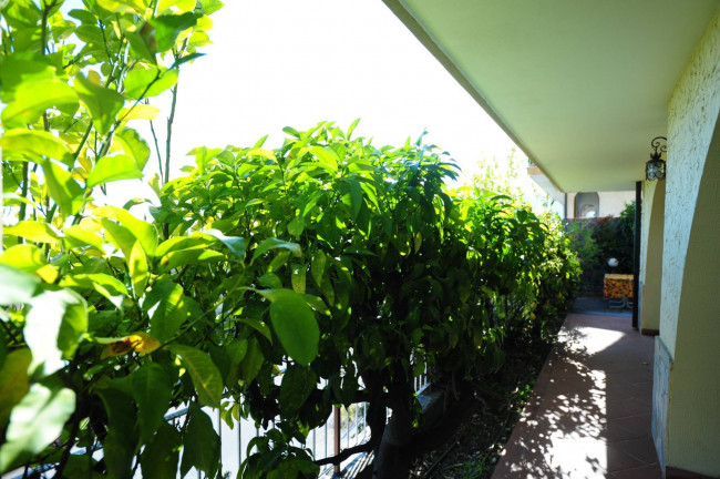 Appartamento in vendita a Boissano