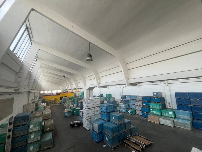 Capannone in Affitto a Collegno