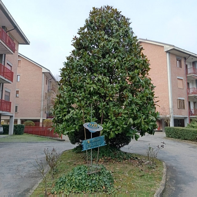 Appartamento in Vendita a Asti