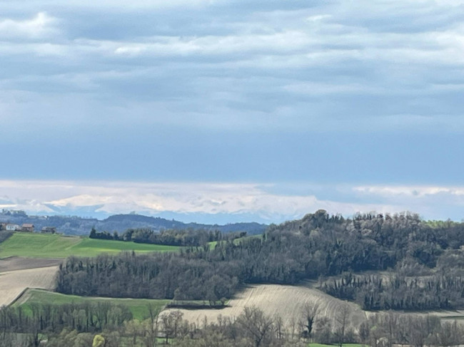 Cascina in Vendita a Villadeati