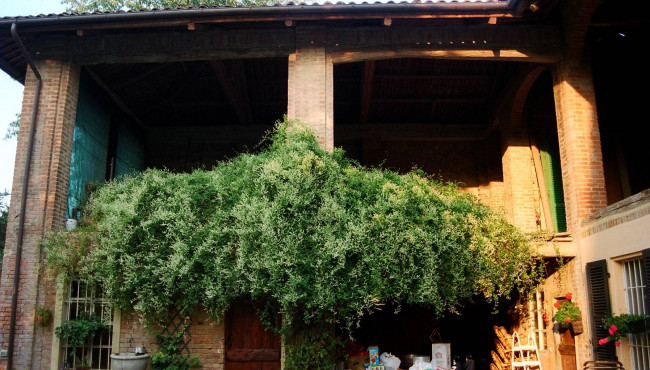 Dimora Storica in Vendita a Cinaglio