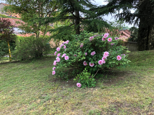 Dimora Storica in Vendita a Cinaglio