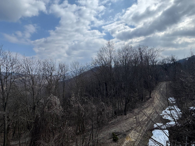 Appartamento in vendita a Roburent