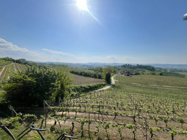 Cascina in Vendita a Castagnole delle Lanze