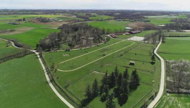 Tenuta in Vendita a Cellarengo
