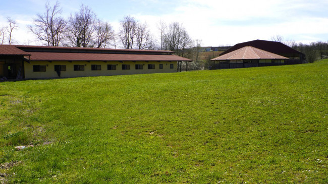 Tenuta in Vendita a Cellarengo