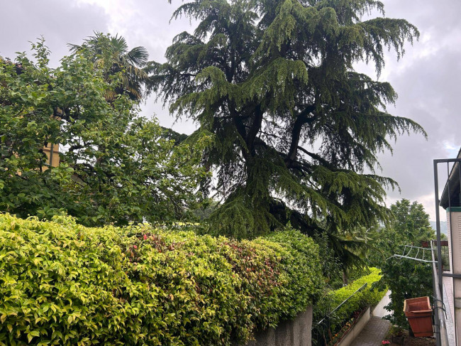 Appartamento in Vendita a Pecetto Torinese