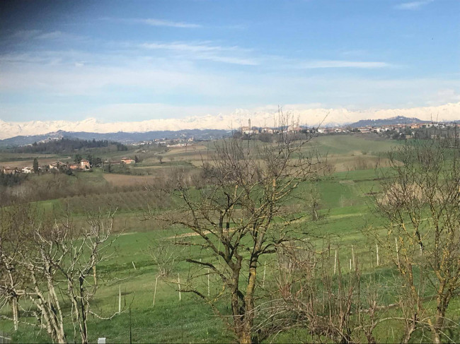 Cascina in Vendita a Alfiano Natta