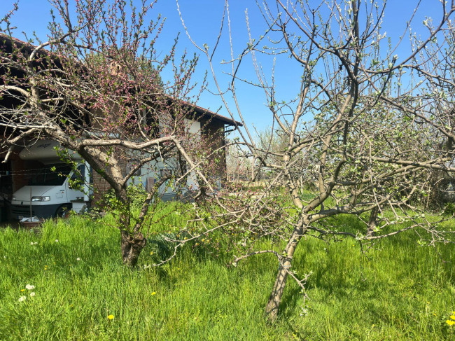 Casa indipendente in vendita a Cuneo