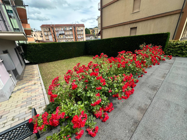 Appartamento in Vendita a Mondovì