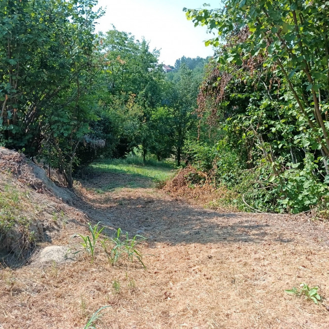 Cascina in Vendita a Asti