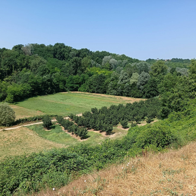 Cascina in Vendita a Asti