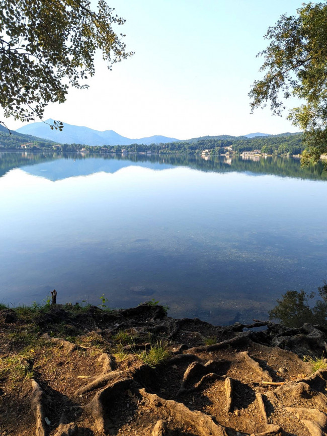 Villa a Schiera in Vendita a Avigliana