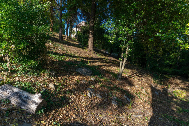 Cascina in Vendita a Odalengo Piccolo