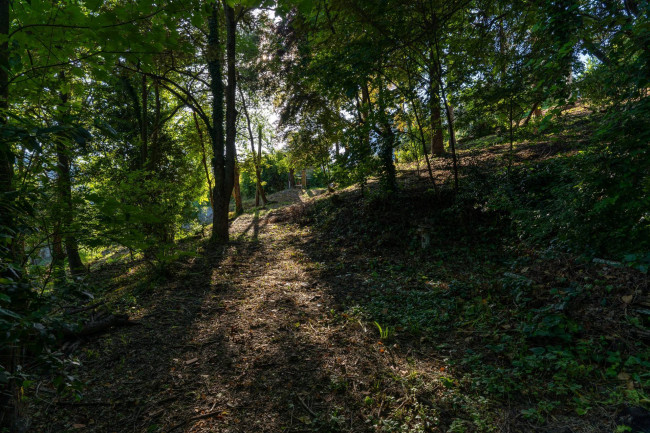 Cascina in Vendita a Odalengo Piccolo