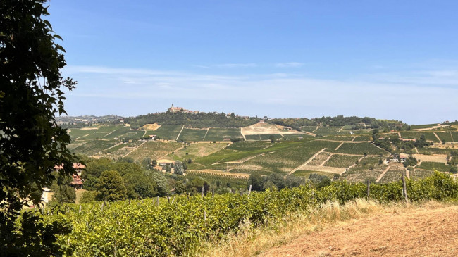 Cascina in Vendita a Canelli