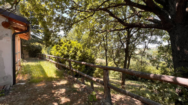 Cascina in Vendita a Canelli