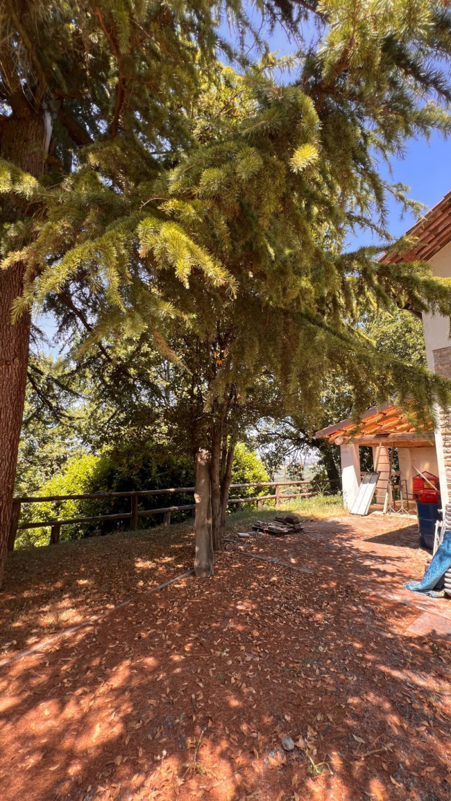 Cascina in Vendita a Canelli
